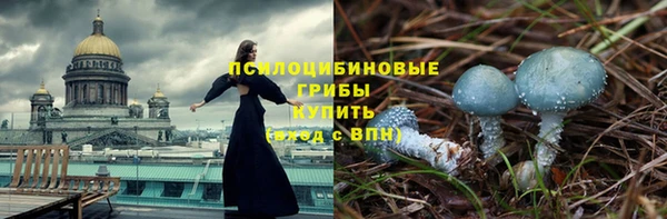 сатива Балабаново