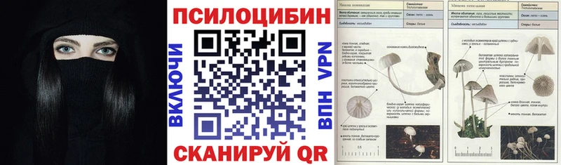 Псилоцибиновые грибы Cubensis  сколько стоит  Оленегорск 